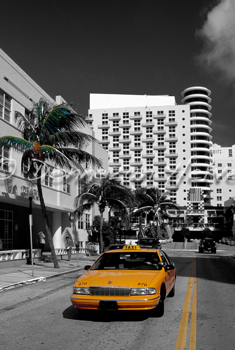 3335_20426_MIAMI_3+