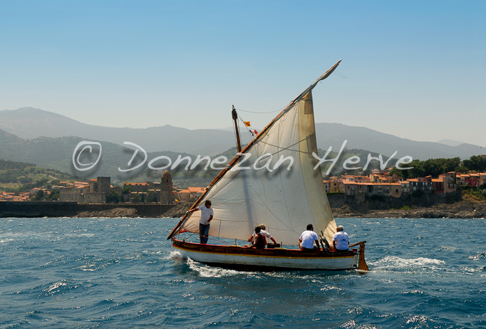 2559_66273_COLLIOURE_CATALANE_4