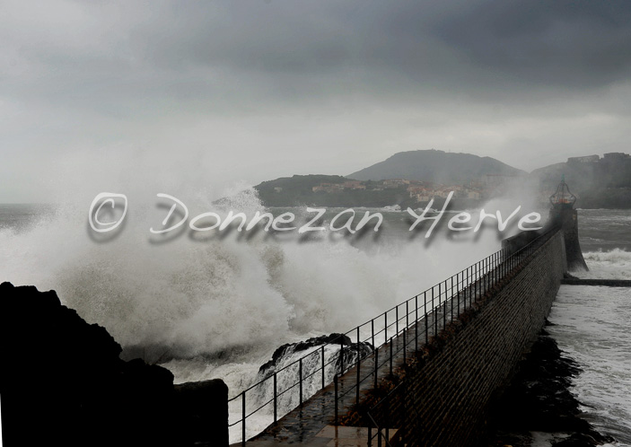 3353_2746_COLLIOURE_TEMPETE_28x4