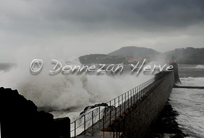 3353_2746_COLLIOURE_TEMPETE_3+