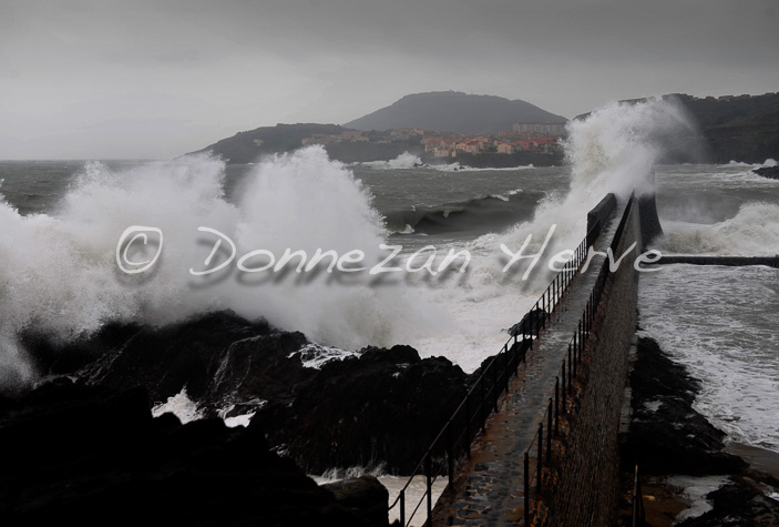 3456_2729_COLLIOURE_TEMPETE_3+