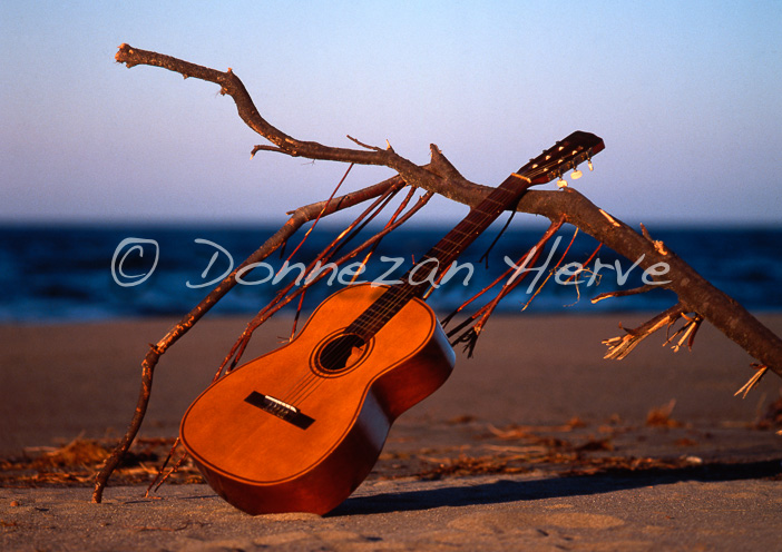 3913_111760_BEACH GUITARE _3+