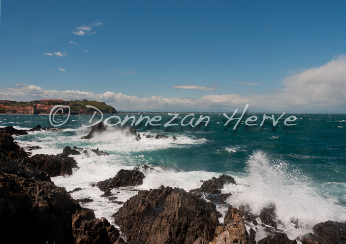 4050_8439_COLLIOURE_TRA_28x4