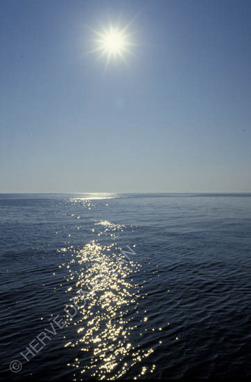 1629_MARINE_REFLEXION