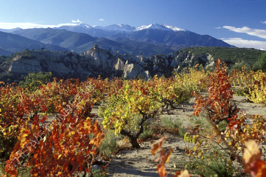 1185_ORGUES ILLE AUTOMNE