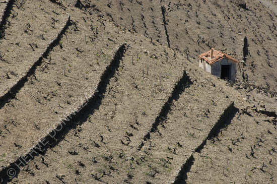 1815_BANYULS_CASOT